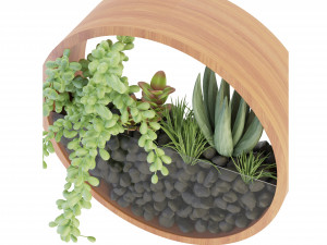 Collection Plant Vol 69 - Blender Model 3D 模型