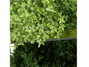 Collection Plant Vol 70 Blender Model 3D 모델