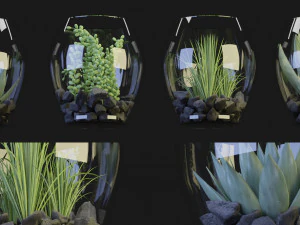 Collection Plant Vol 71 Blender Model 3D Model