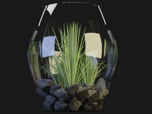 Collection Plant Vol 71 Blender Model 3D Модель