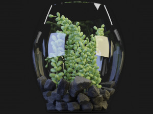 Collection Plant Vol 71 Blender Model 3D Модель