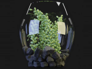 Collection Plant Vol 71 Blender Model 3D Model