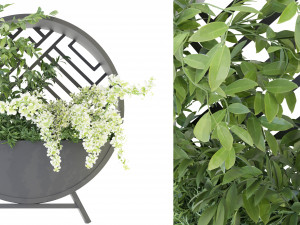 Collection Plant Vol 72 - Blender Model 3D Модель