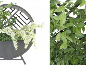 Collezione Plant Vol 72 - Modello Frullatore Modello 3D