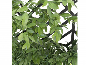 Collection Plant Vol 72 - Blender Model 3D 모델