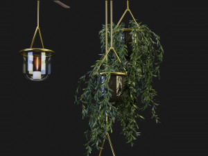 Collection Plant Vol 79 - Blender Model 3D Model