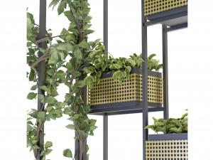 Collection Plant Vol 80 - Blender Model Modello 3D