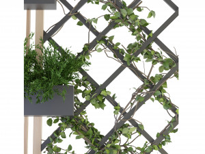 Collection Plant Vol 81 - Blender Model 3D Model