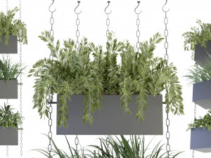 Cole&ccedil;&atilde;o Planta Vol 85 - Modelo Blemder Modelo 3D