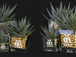 Collezione Plant Vol 89 - Modello Frullatore Modello 3D