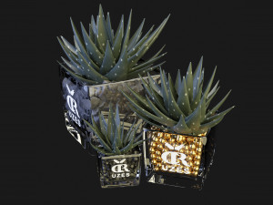Collection Plant Vol 89 - Blender Model Modello 3D