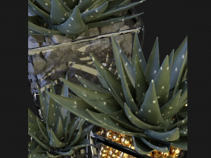 Collection Plant Vol 89 - Blender Model Modello 3D