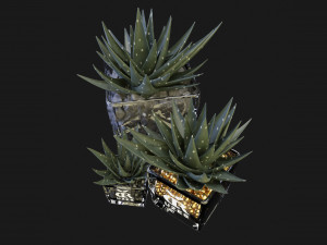 Collection Plant Vol 89 - Blender Model Modello 3D