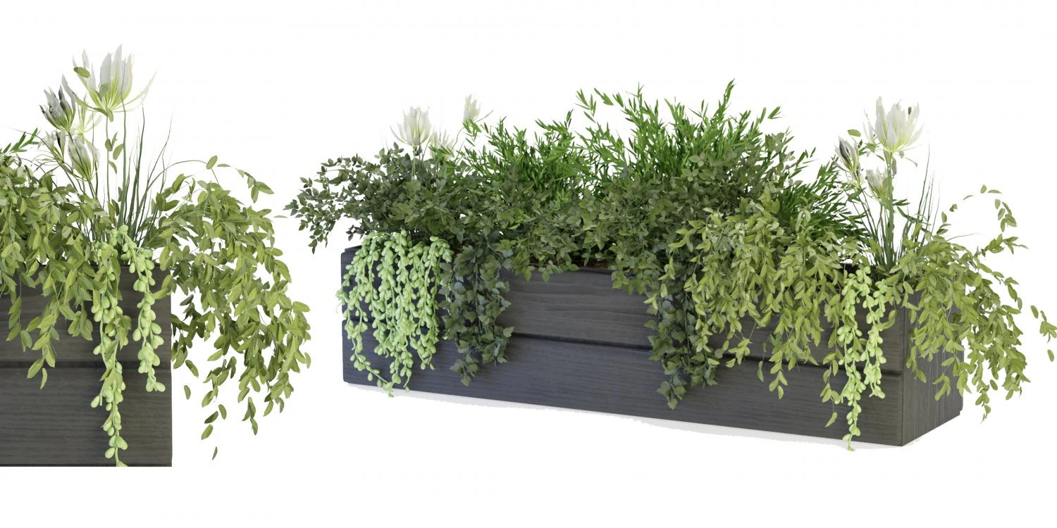 Collection Plant Vol 90 - Blender Model 3D Model .c4d .max .obj .3ds .fbx .stl .blend 
