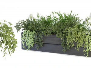 Cole&ccedil;&atilde;o Plant Vol 90 - Modelo Blender Modelo 3D