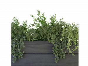 Collection Plant Vol 90 - Blender Model Model 3D