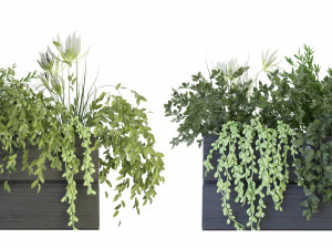 Collection Plant Vol 90 - Blender Model Model 3D