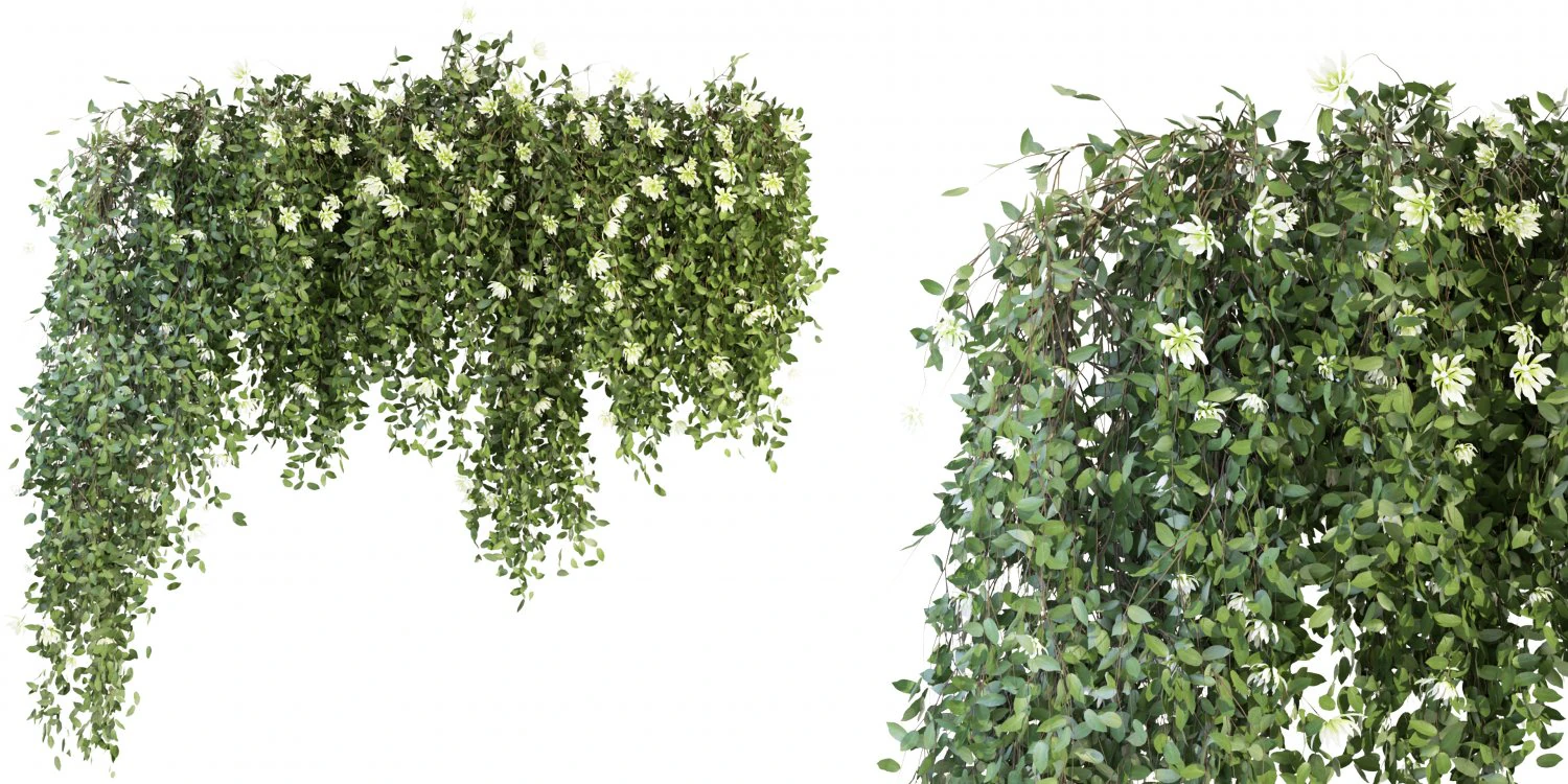 Collection Plant Vol 92 - Blender Model 3D Model .c4d .max .obj .3ds .fbx .stl .blend 