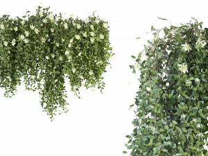 Collection Plant Vol 92 - Blender Model 3D Model