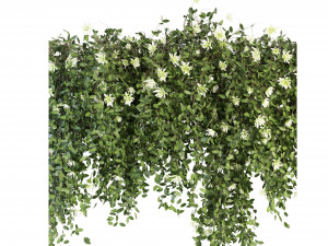 Collection Plant Vol 92 - Blender Model Modelo 3D