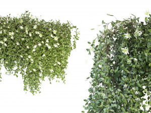 Collection Plant Vol 92 - Blender Model Modelo 3D