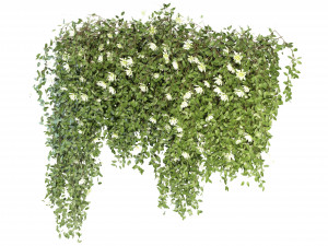 Collection Plant Vol 92 - Blender Model Modelo 3D