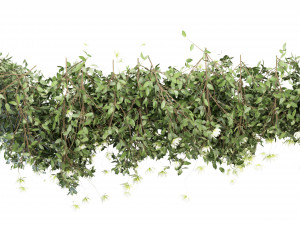 Collection Plant Vol 92 - Blender Model Modelo 3D