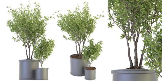 Collection Plant Vol 93 - Blender Model 3Dモデル .c4d .max .obj .3ds .fbx .stl .blend 