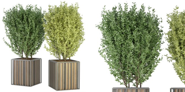 Collection Plant Vol 94 - Blender Model Modèle 3D .c4d .max .obj .3ds .fbx .stl .blend 