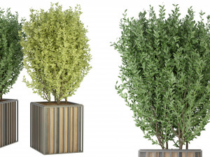 Collection Plant Vol 94 - Blender Model Modèle 3D