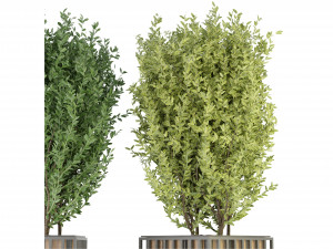 Collection Plant Vol 94 - Blender Model Modèle 3D