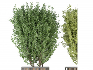 Collection Plant Vol 94 - Blender Model Modèle 3D
