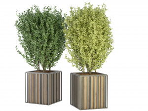 Collection Plant Vol 94 - Blender Model Modèle 3D