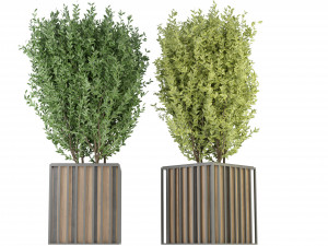 Collection Plant Vol 94 - Blender Model Modèle 3D