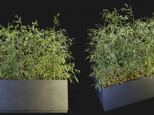 Cole&ccedil;&atilde;o Plant Vol 95 - Modelo Blender Modelo 3D