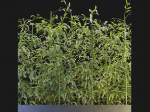 Collection Plant Vol 95 - Blender Model 3D Модель