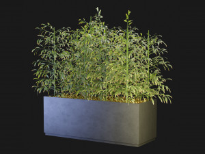 Collection Plant Vol 95 - Blender Model 3D Модель