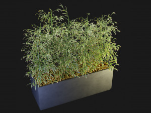 Collection Plant Vol 95 - Blender Model 3D Модель