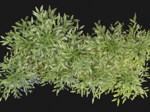 Collection Plant Vol 95 - Blender Model 3D Модель