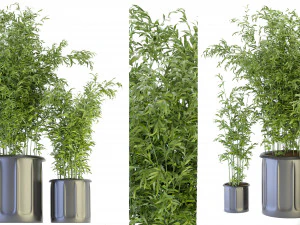 Cole&ccedil;&atilde;o Plant Vol 96 - Modelo Blender Modelo 3D