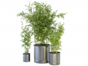 Collection Plant Vol 96 - Blender Model 3Dモデル