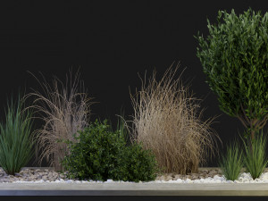 Collection Plant Vol 98 - Blender Model 3D-Modell
