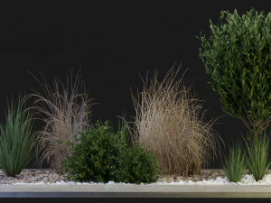 植物系列第 98 卷 - 搅拌机模型 3D 模型