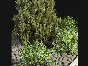 Collection Plant Vol 99 - Blender Model 3D Model