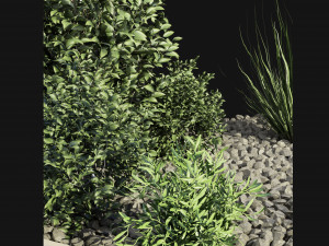 Collection Plant Vol 99 - Blender Model 3D Model