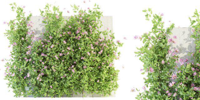 Collection Plant Vol 105 - Blender Model Model 3D .c4d .max .obj .3ds .fbx .stl .blend