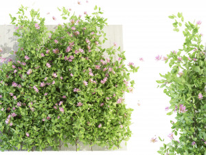 Collection Plant Vol 105 - Blender Model 3D Model