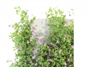Collection Plant Vol 105 - Blender Model 3D Model