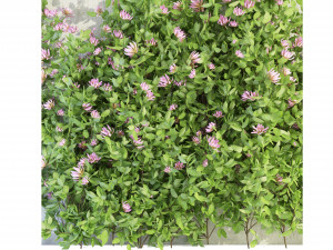 Collection Plant Vol 105 - Blender Model Model 3D