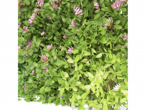 Collection Plant Vol 105 - Blender Model Model 3D